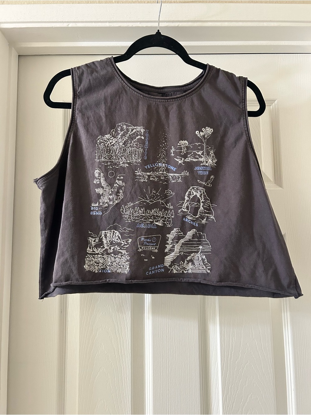 Parks Project Charcoal Cropped Graphic Tank